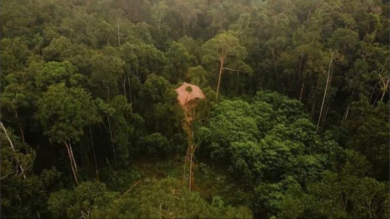 Yamyamlara Yem Olmamak İçin 40 Metrelik Ağaçlarda Yaşayan Tuhaf Kabilenin Hikayesi [Video]
