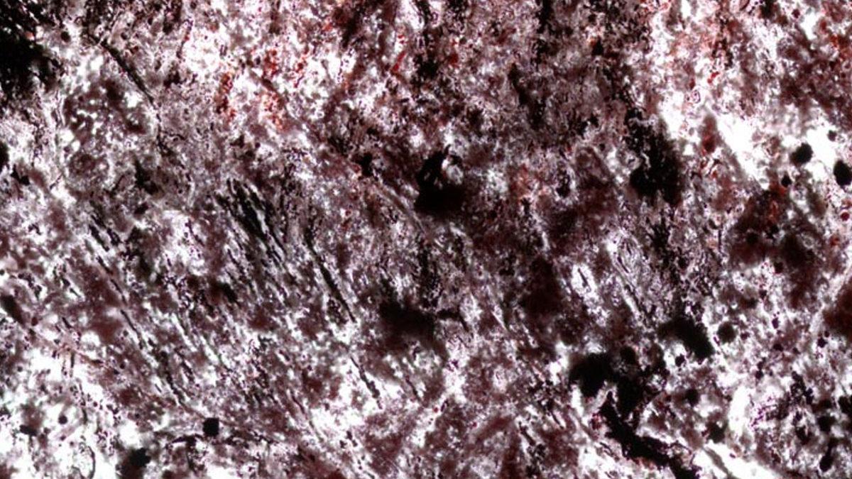 Yaşamın Kökenine Dair Bilim Kitaplarını Değiştirecek Keşif: İlk Canlılar, Sanılandan Çok Daha Önce Ortaya Çıkmış…