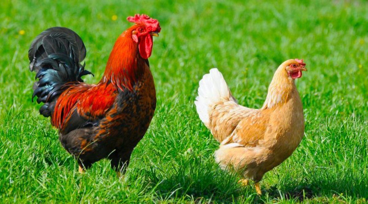 Erkekler Aldatmaya Neden Daha Meyillidir? İşte Bilim İnsanlarının Cevabı