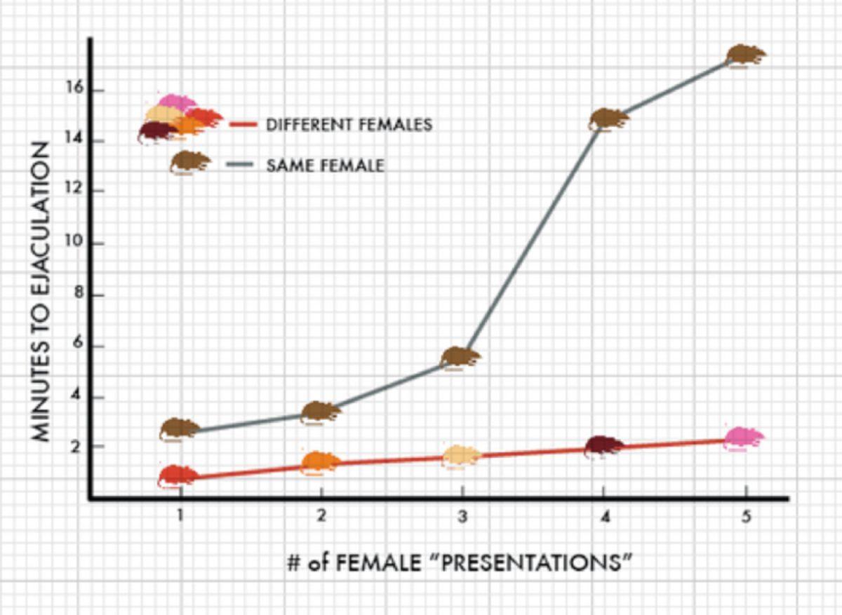 Erkekler Aldatmaya Neden Daha Meyillidir? İşte Bilim İnsanlarının Cevabı