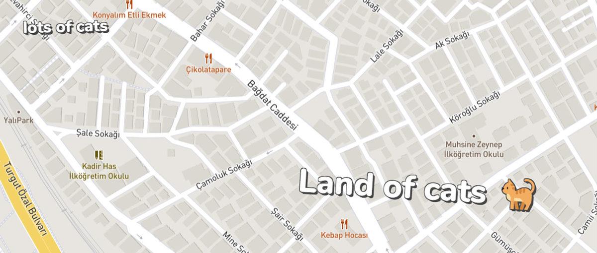 Şehirlerin Birbirinden Geyik Yorumlarla Tarif Edildiği Eğlenceli Harita