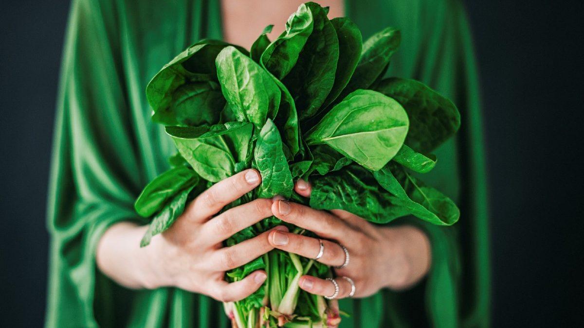 Bilim İnsanları, E-Posta Gönderebilen Ispanaklar Yetiştirmeye Başladı