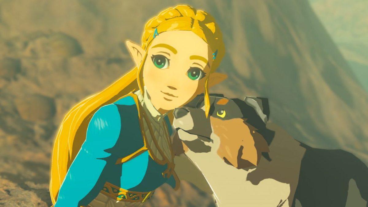 Zelda’nın Netflix Uyarlamasının Basit Bir 