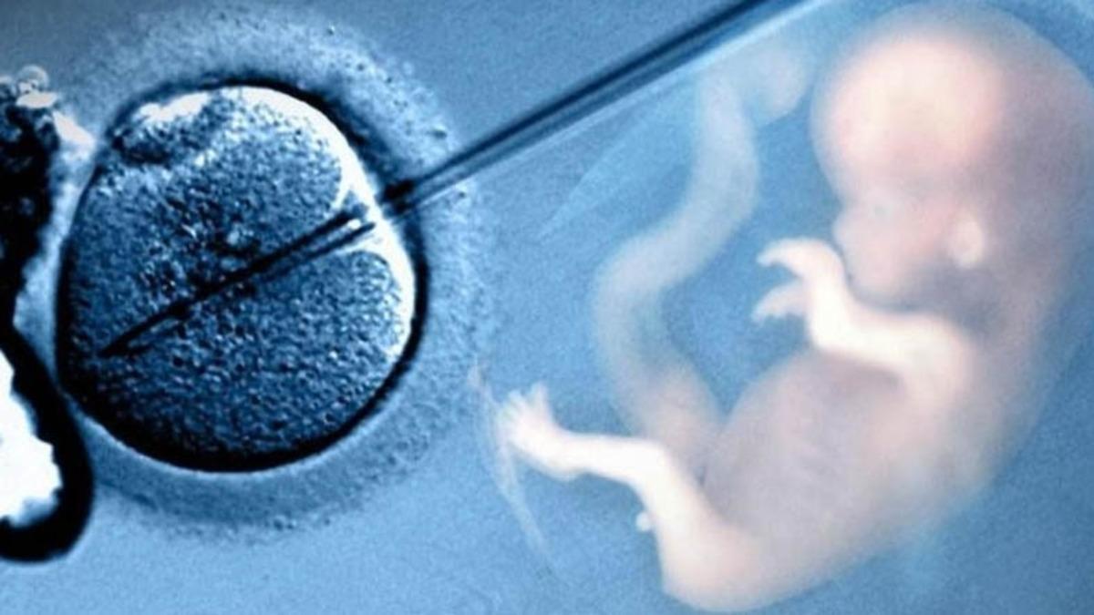 Türk Profesörden, Tüp Bebek Başarı Oranının Yüzde Kaç Olduğunu Gösteren Çevrimiçi Test