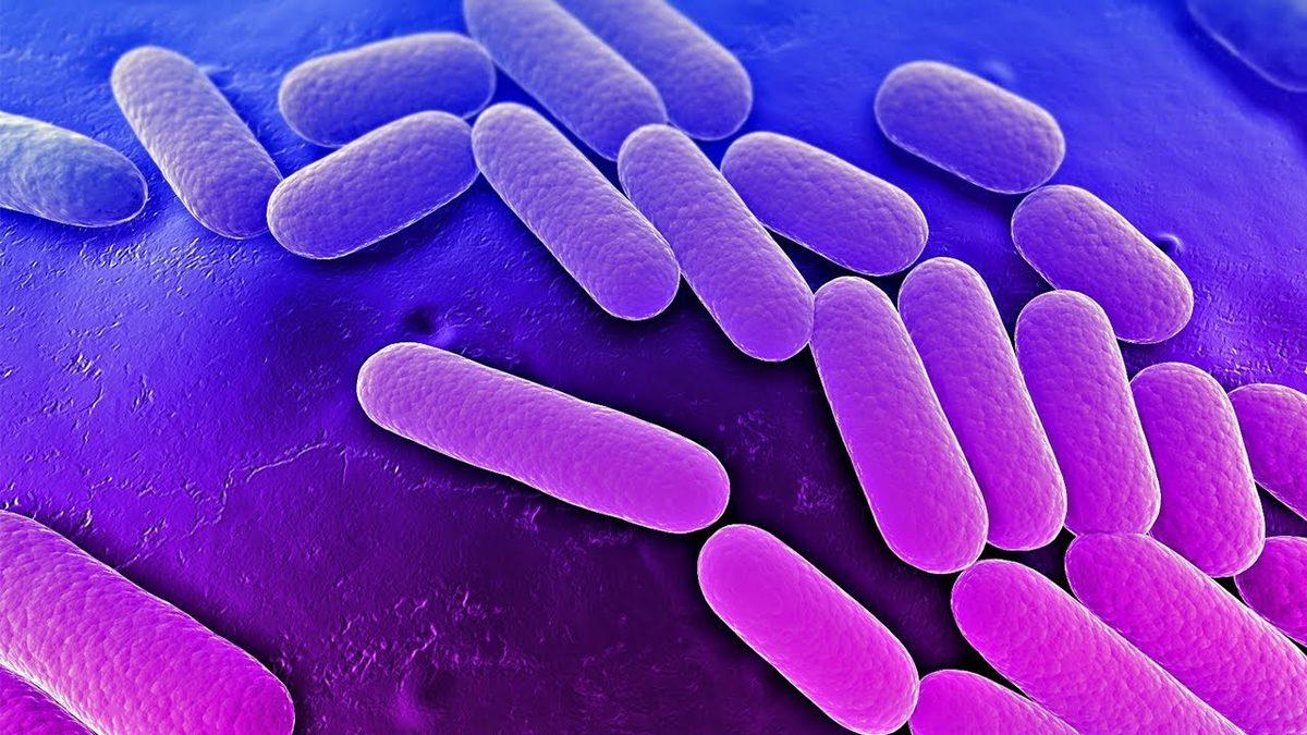 Yeni Antibiyotikler İçin Umut Olan Yeni Bir Toprak Bakterisi Hormonu Keşfedildi