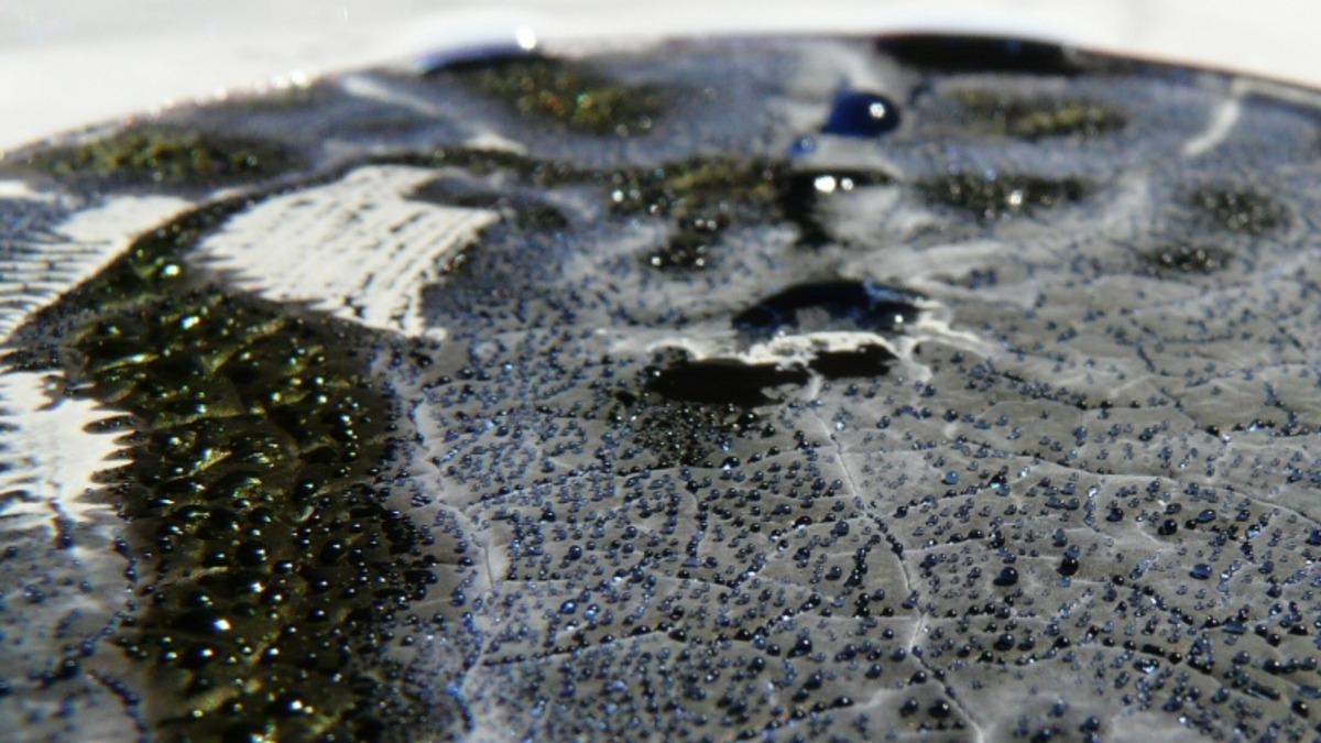 Yeni Antibiyotikler İçin Umut Olan Yeni Bir Toprak Bakterisi Hormonu Keşfedildi