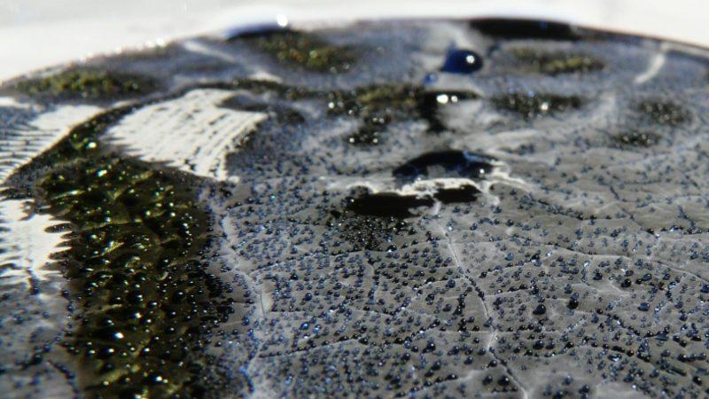 Yeni Antibiyotikler İçin Umut Olan Yeni Bir Toprak Bakterisi Hormonu Keşfedildi