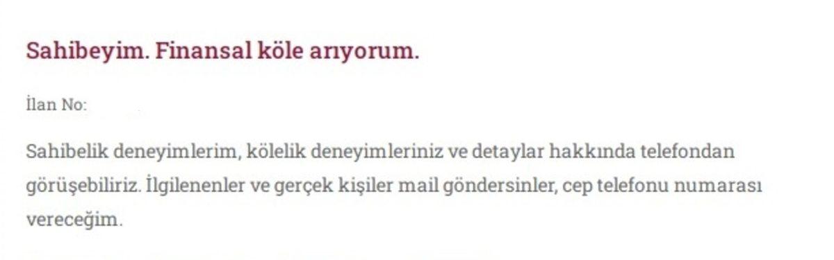 İnternette Yaygınlaşan 