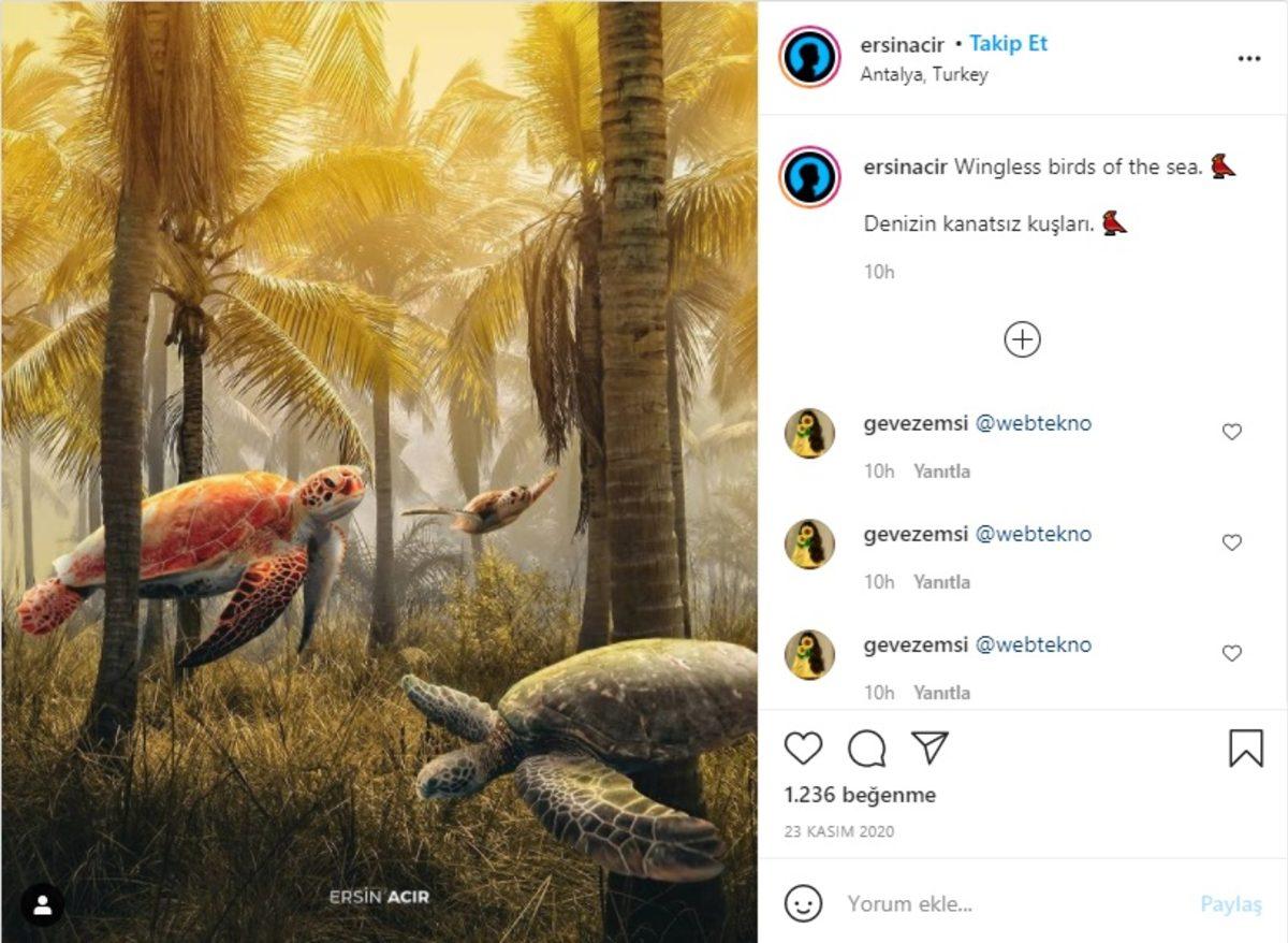 Türk Tasarımcının Foto Manipülasyon Şaheseri 10 Etkileyici Çalışması