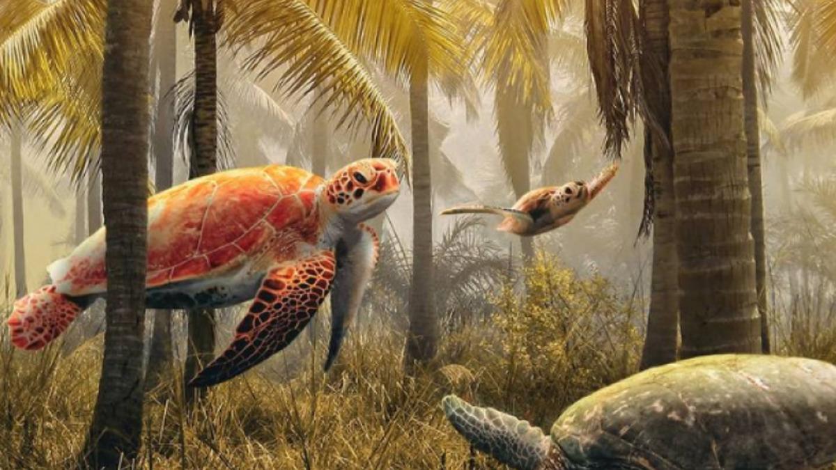 Türk Tasarımcının Foto Manipülasyon Şaheseri 10 Etkileyici Çalışması