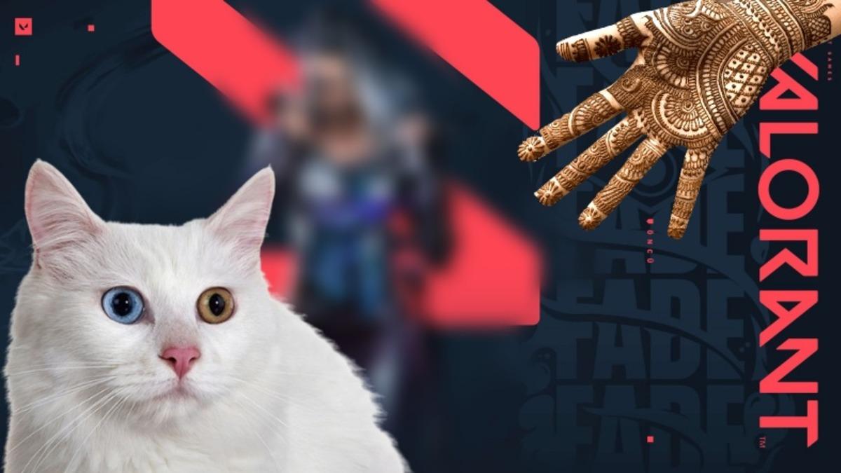 Valorant’a Gelecek Türk Ajandan İlk Görüntüler Paylaşıldı! Bu Bildiğin Eli Kınalı Van Kedisi…