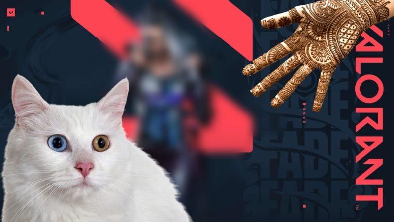 Valorant’a Gelecek Türk Ajandan İlk Görüntüler Paylaşıldı! Bu Bildiğin Eli Kınalı Van Kedisi…