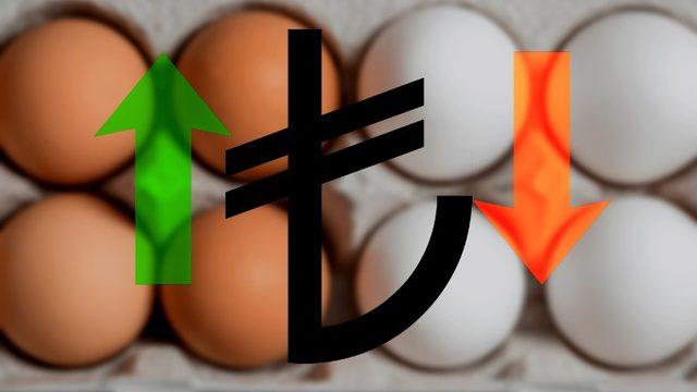 Kandırılmışız: Kahverengi Yumurtalar Beyaz Yumurtalardan Neden Daha Pahalı?