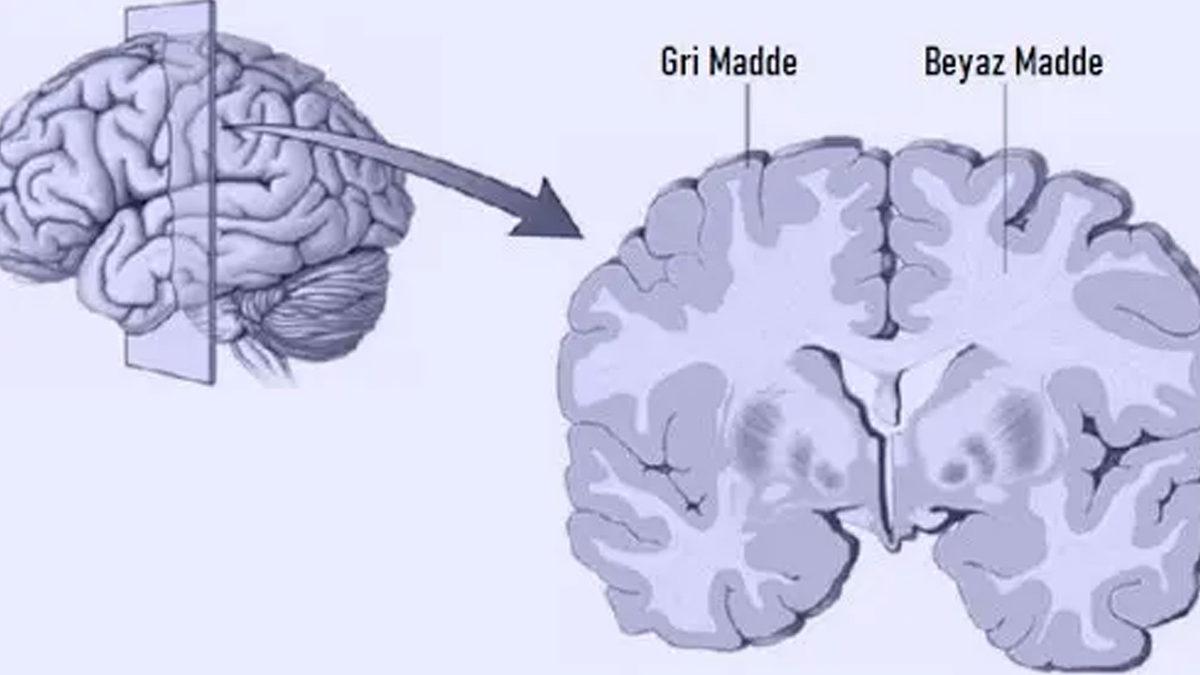 COVID-19 Sırasında Doğan Çocukların Daha Yavaş Gelişim Gösterdiği ve Daha Geç Konuştuğu Ortaya Çıktı: Peki Neden?