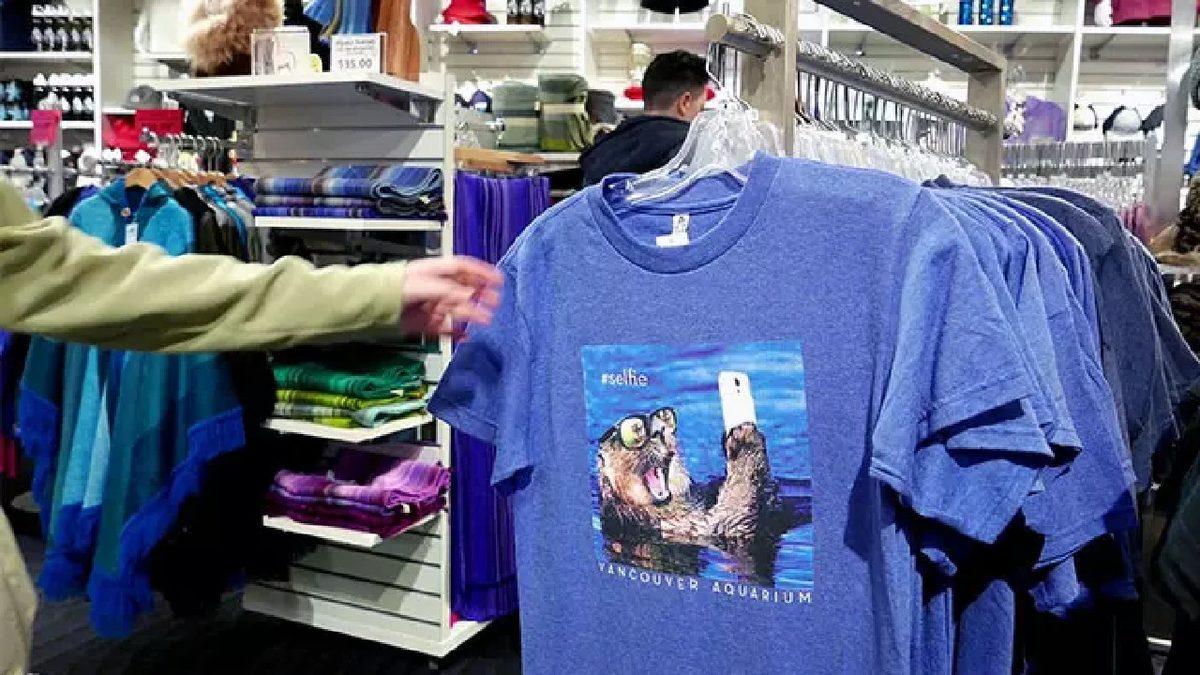 Türkiye’deki Sınavlarda Çıkan Bu Mantık Sorularının Kaçını Çözebileceksin?