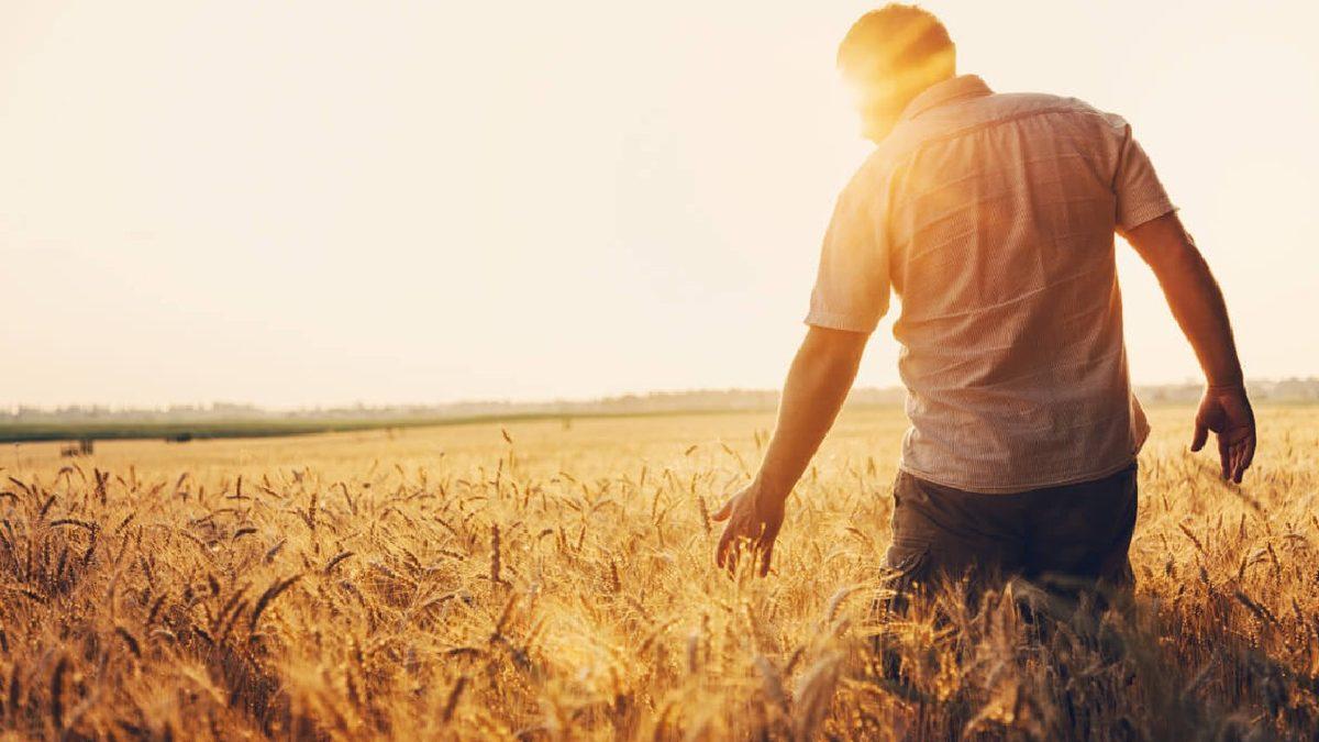 Türkiye’deki Sınavlarda Çıkan Bu Mantık Sorularının Kaçını Çözebileceksin?