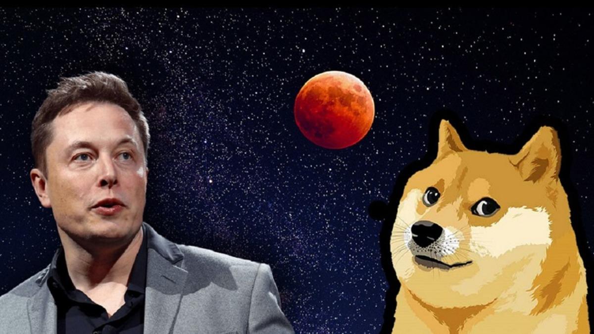 Elon Musk, Twitter’da ’Geleceğin Para Birimi’ Anketi Başlattı