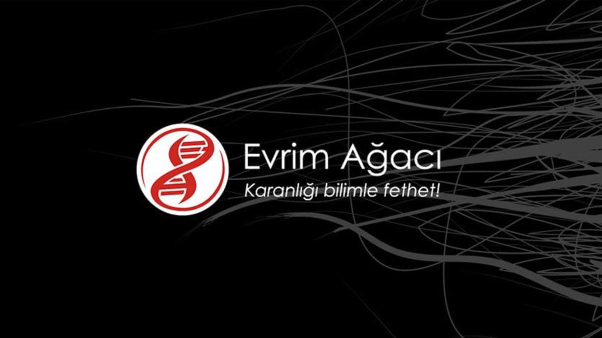 Evrim Ağacı’nın Twitter’da Gündem Oluşturan Anketi: ’Türkiye’de İdam Cezası Uygulanmalı mı?’