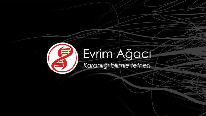 Evrim Ağacı’nın Twitter’da Gündem Oluşturan Anketi: ’Türkiye’de İdam Cezası Uygulanmalı mı?’