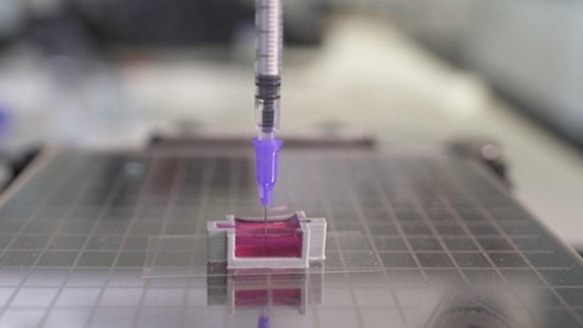 Vücuda Girdiğinde Kemiğe Dönüşen Jel Şeklinde Biyomürekkep Geliştirildi