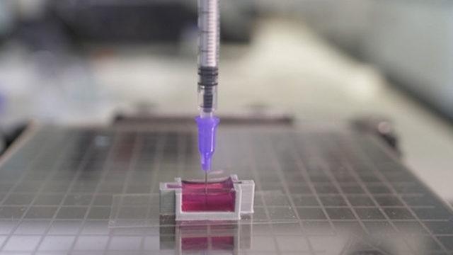 Vücuda Girdiğinde Kemiğe Dönüşen Jel Şeklinde Biyomürekkep Geliştirildi