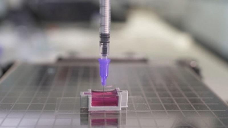 Vücuda Girdiğinde Kemiğe Dönüşen Jel Şeklinde Biyomürekkep Geliştirildi