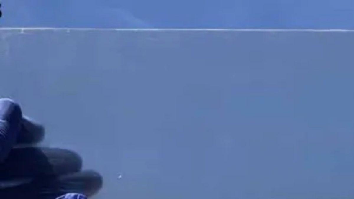 ABD’li Bilim İnsanları, Ahşabı Şeffaf Hale Getirmeyi Başardı