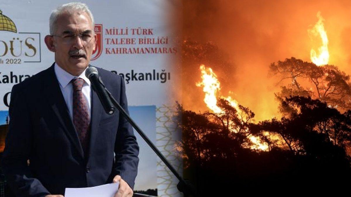 Türkiye’nin Orman Yangınlarına Karşı Bu Yıl Kaç Uçak ve Helikopter ile Mücadele Edeceği Açıklandı: Olası Yangınlara Hazırlıklı mıyız?