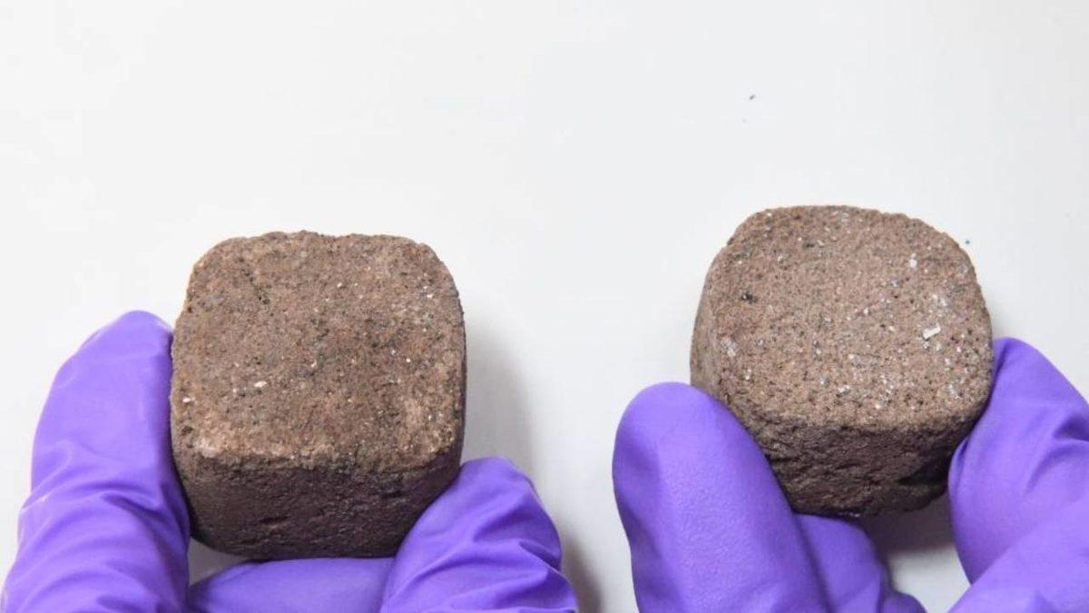 Bakterilerden ’Uzay Tuğlası’ Üretildi: Mars’ta Ev İnşa Etmek İçin Kullanılabilir