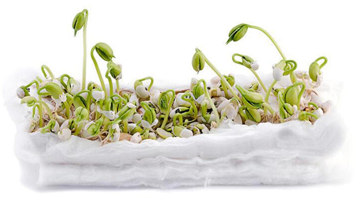 Görünce Çocukluk Yıllarına Geri Gideceğiniz 14 Nostaljik Eşya