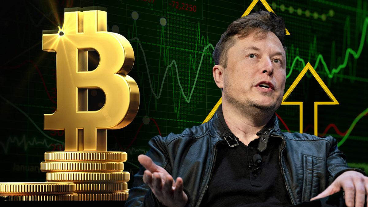 6 Kripto Para Uzmanı, Tesla’nın Bitcoin Yatırımını Değerlendirdi