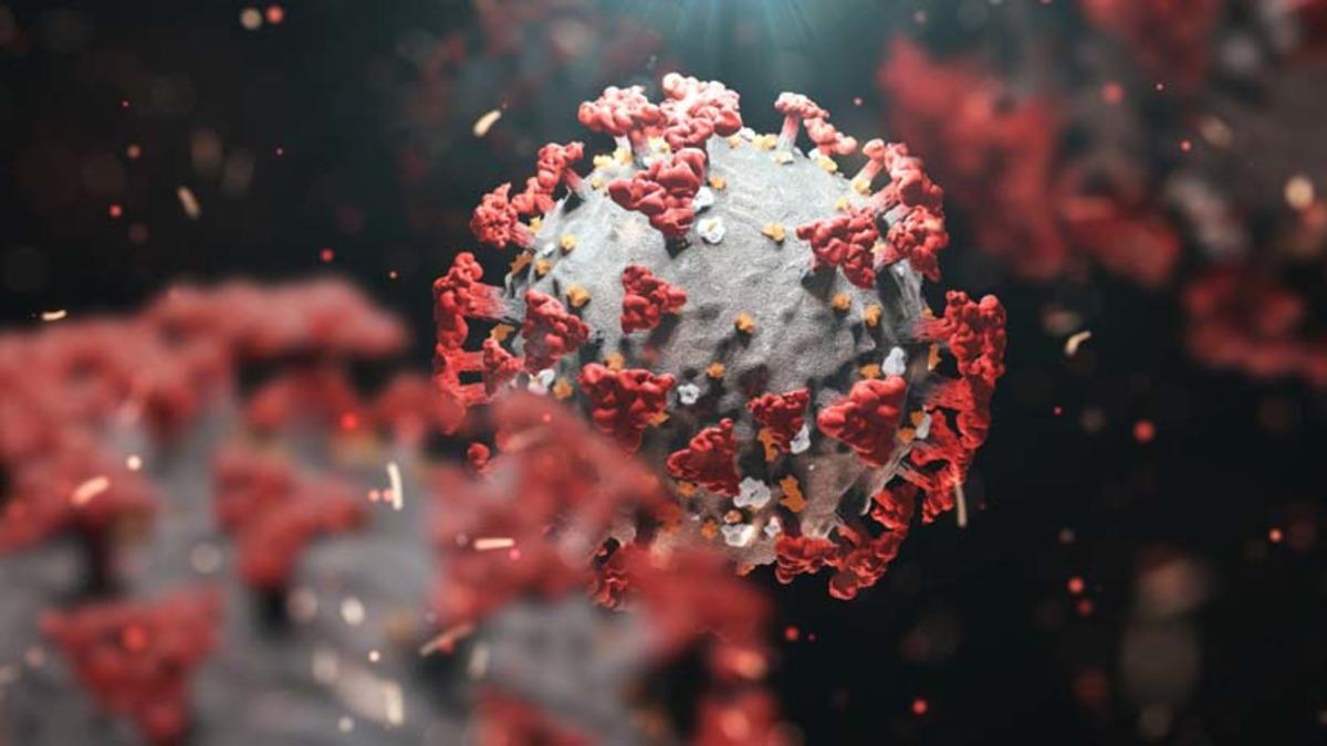 Sağlık Bakanlığı, Mutasyonlu Vakaların Karantina Süreçleri İçin Aldığı Yeni Kararları Açıkladı