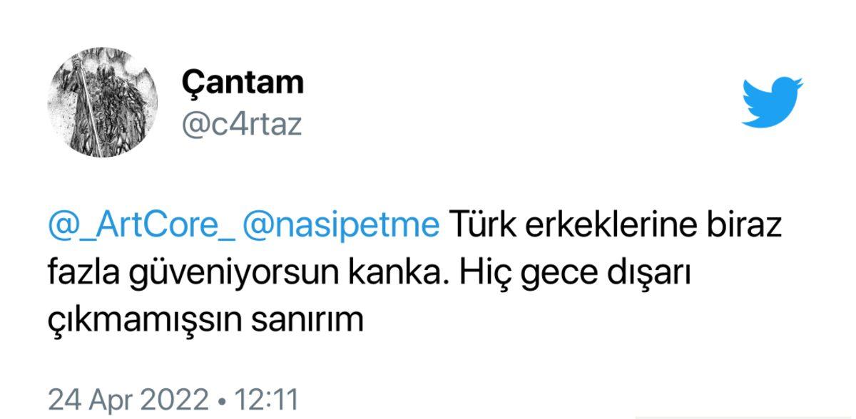 Türkiye’de Tacize Uğrayan Kadın Turistin Çektiği Video Gündem Oldu: İşte Gelen Tepkiler