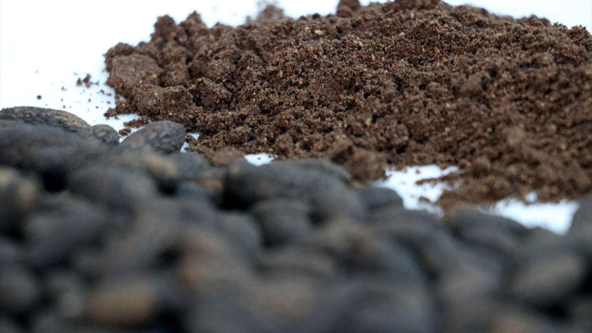 Türk Bilim İnsanları, Zeytin Çekirdeğinden Kahve Üretti (Hem Daha Ucuz Hem de Kafeinsiz)