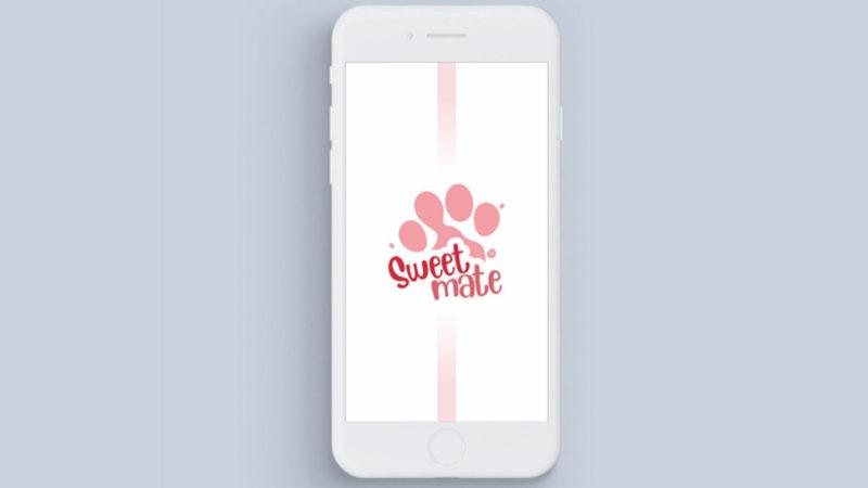 Hayvan Sahiplerini Bir Araya Getirmeyi Amaçlayan Yerli Sosyal Ağ Projesi: SweetMate