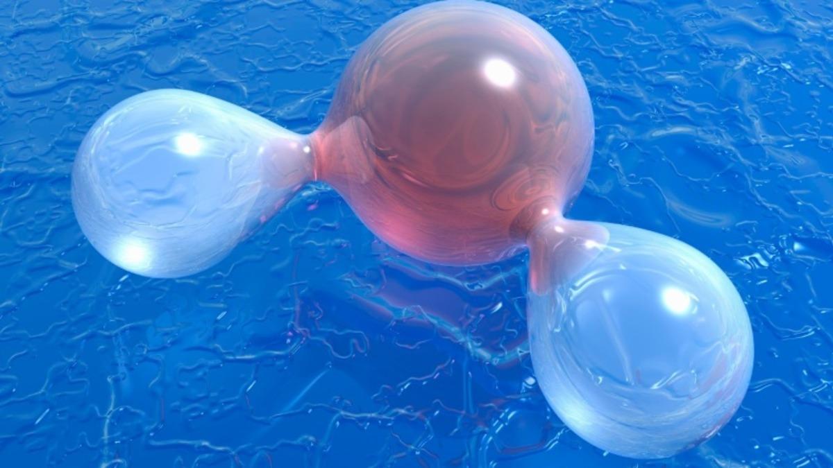 İnsanların Fikirlerini Değiştirmenin Ne Kadar Kolay Olduğunu Gösteren Şaka: Tehlikeli Su Parodisi