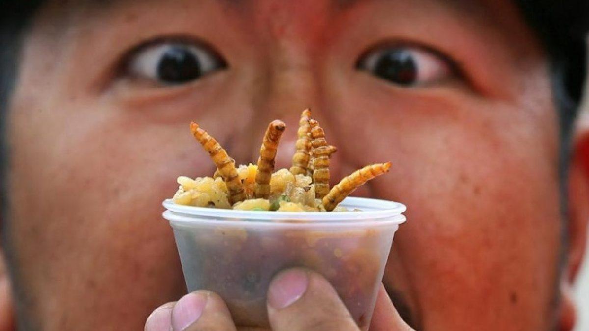 Böcek ve Yapay Et Yemenin ‘Sağlığa ve Çevreye Faydalı’ Olduğu Ortaya Çıktı (Bilim Diyor, Biz Demiyoruz…)