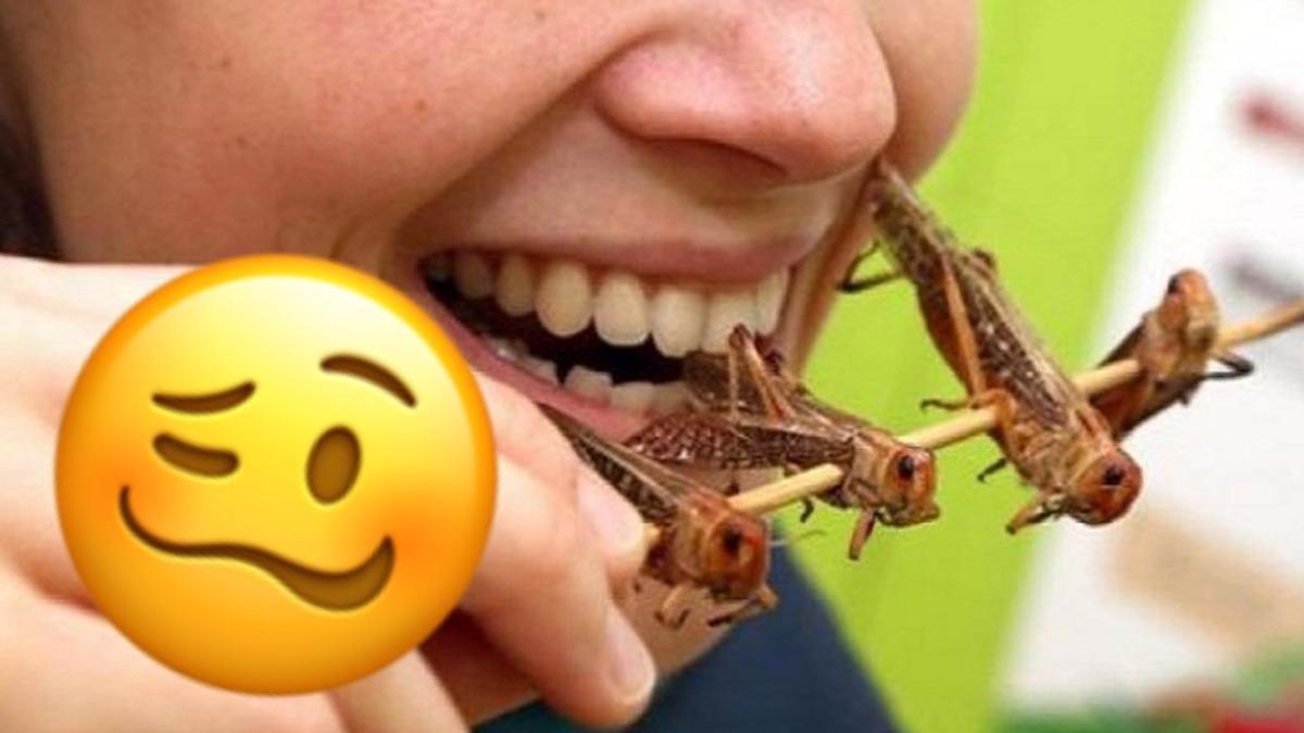 Böcek ve Yapay Et Yemenin ‘Sağlığa ve Çevreye Faydalı’ Olduğu Ortaya Çıktı (Bilim Diyor, Biz Demiyoruz…)