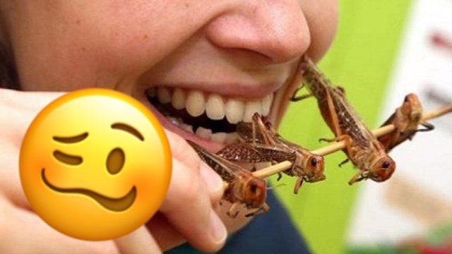 Böcek ve Yapay Et Yemenin ‘Sağlığa ve Çevreye Faydalı’ Olduğu Ortaya Çıktı (Bilim Diyor, Biz Demiyoruz…)