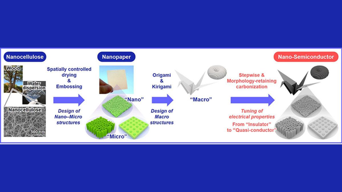 Artık Oyun Bilgisayarlarımızı Ağaçtan Toplayacağız (!): Nanoselüloz Kağıtlar Sayesinde Elektronikler Ağaçta Yetişecek