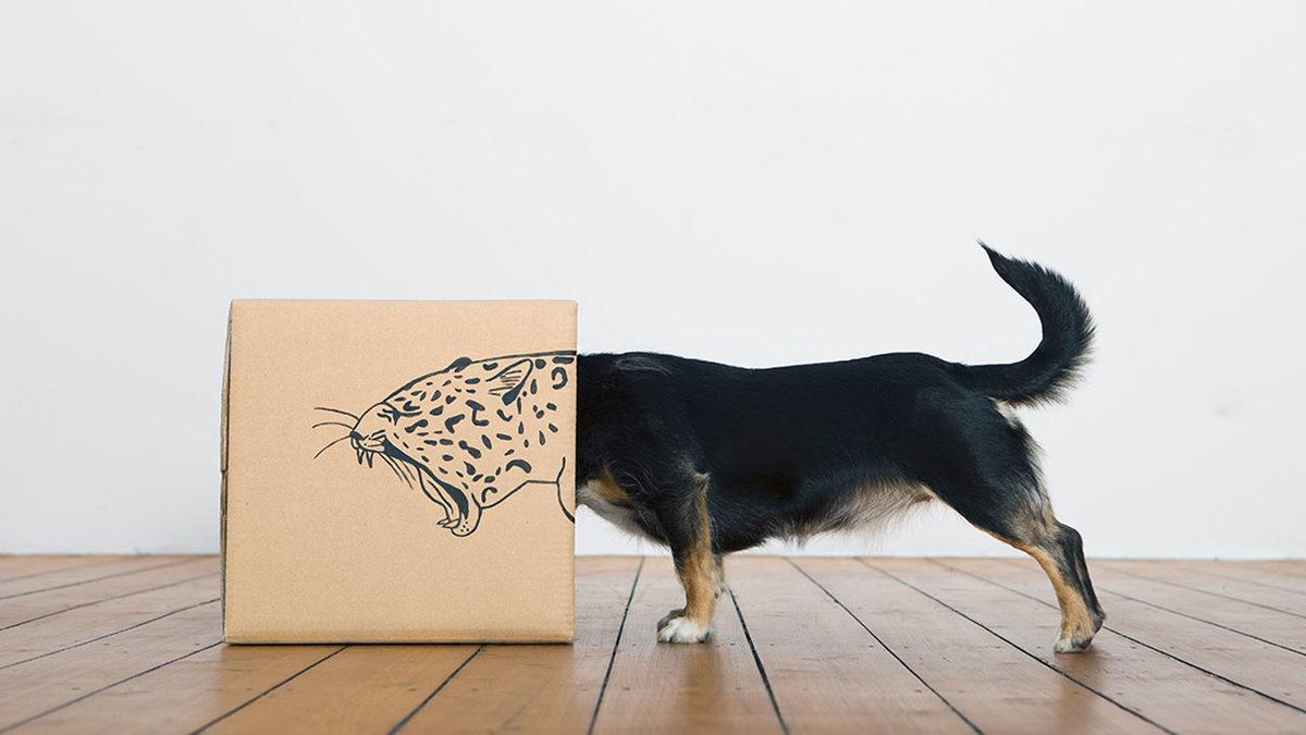 IKEA’nın Psikolojik Taktiği: Kendi Ellerimizle Monte Ettiğimiz Eşyalara Neden Bu Kadar Bağlanırız?