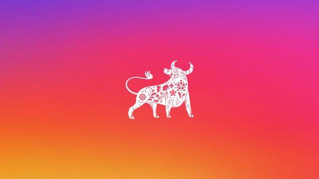 Instagram Hikayelerde Görülen Öküz Yılı Nedir ve Nasıl Kullanılır?