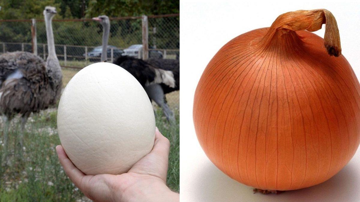 Günümüzdeki Yapılar Depremde Kolaylıkla Yıkılırken Mimar Sinan’ın Eserleri Neden Yıkılmıyor? İşte Kullandığı Dâhiyane Teknikler