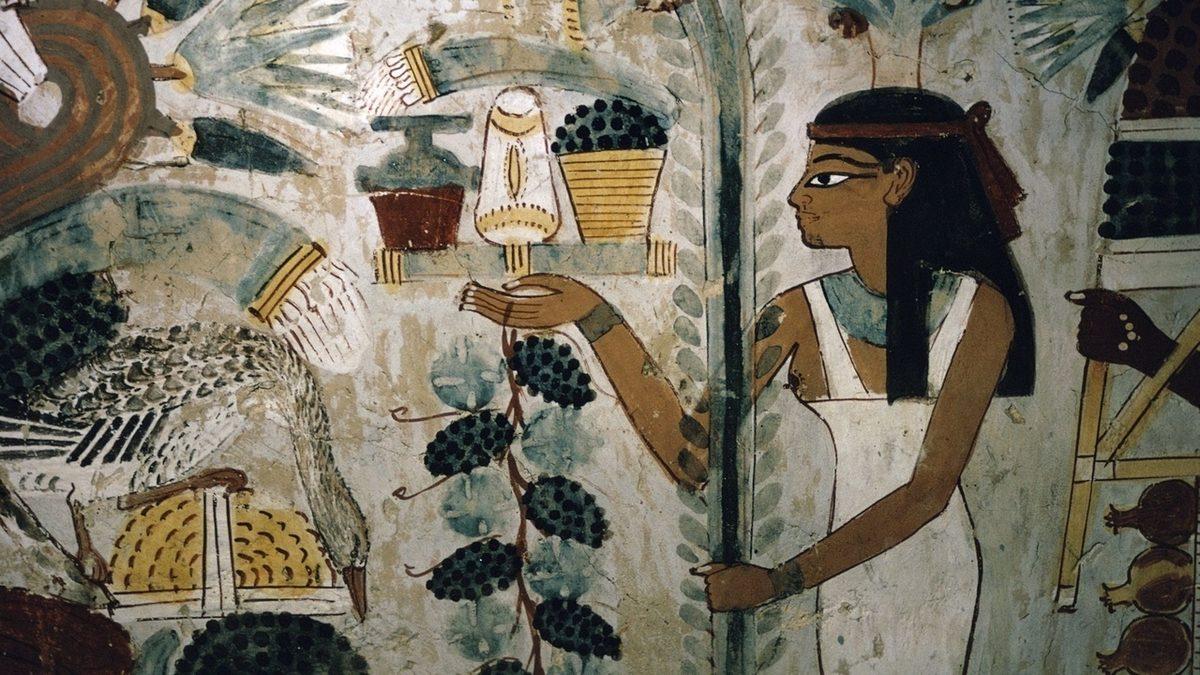 Yıllanmış Şarabın Diğer Şaraplardan Farkı Ne, Fiyatları Neden Daha Pahalı?