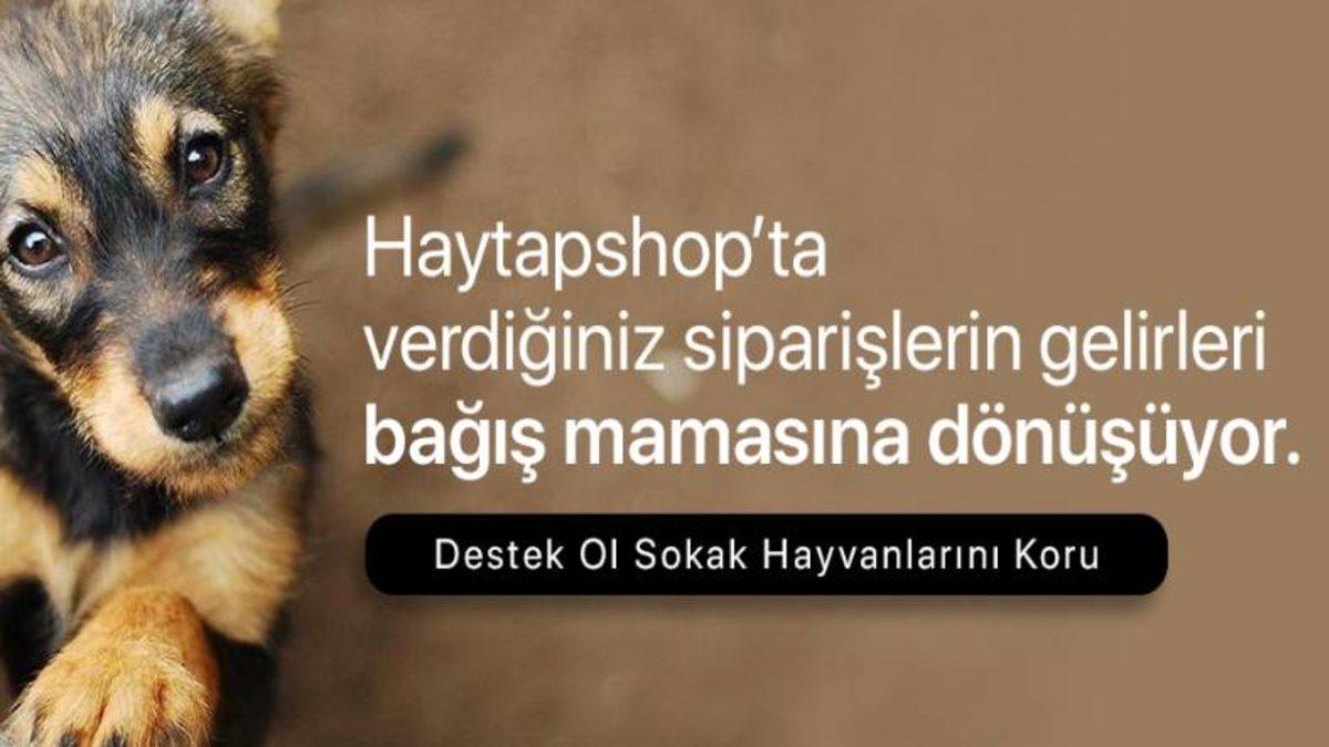 Haytap’ın Satışlardan Elde Ettiği Tüm Gelirin Sokak Hayvanlarına Gitmediği Ortaya Çıktı