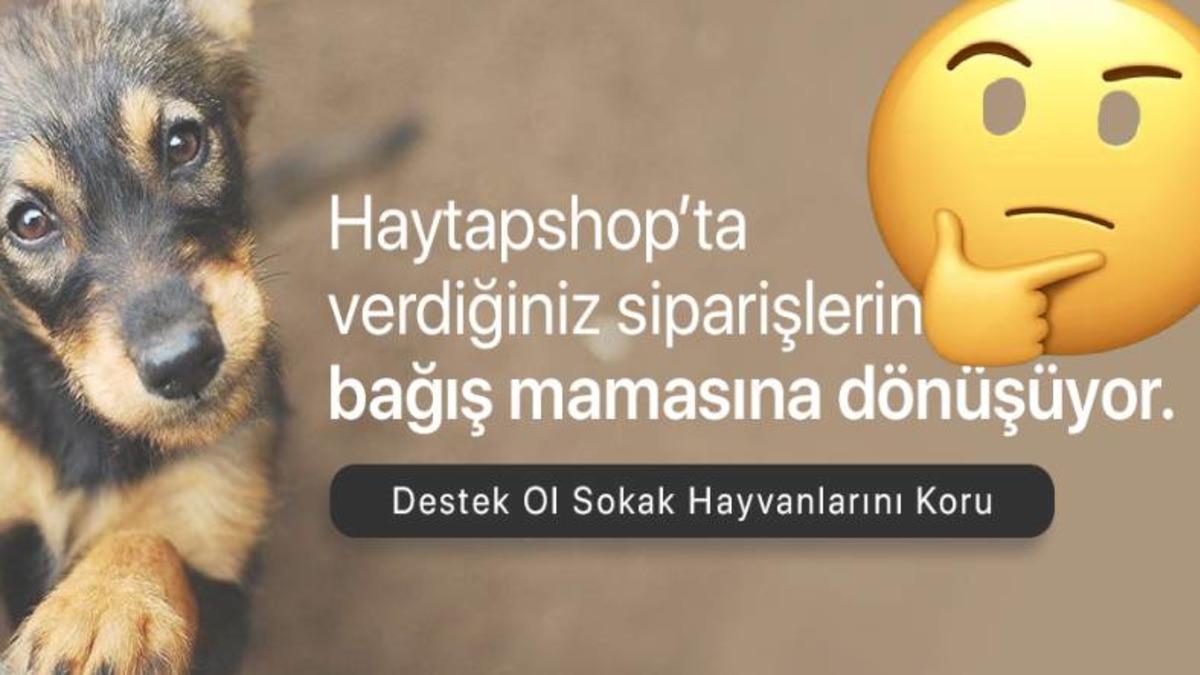 Haytap’ın Satışlardan Elde Ettiği Tüm Gelirin Sokak Hayvanlarına Gitmediği Ortaya Çıktı