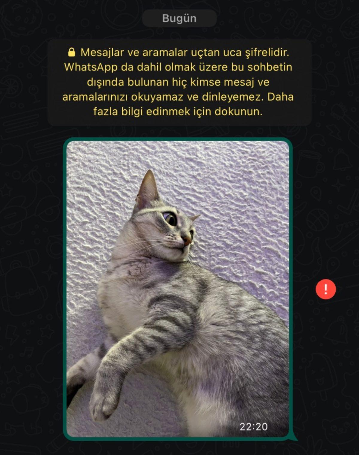 Whatsapp ve Instagram’da Küresel Çapta Yaşanan Sorun Giderildi