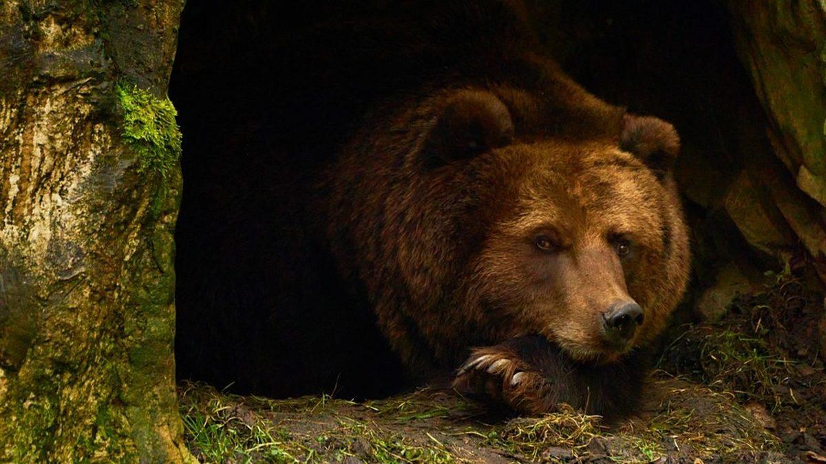 Uzun Uzay Yolculuklarını, Filmlerdeki Gibi ’Yıllarca Bir Kapsülde Uyuyarak’ Geçirmek Mümkün mü? Yeni Bir Araştırma Cevapladı!