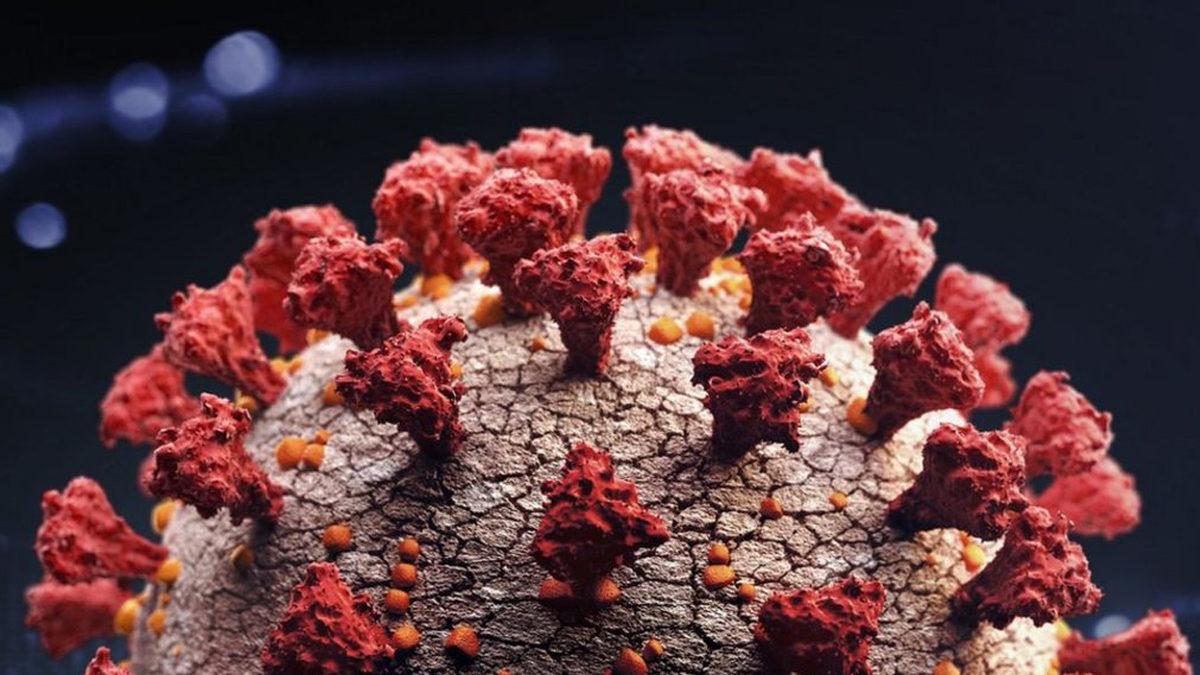 Bilim Kurulu Üyesi: 