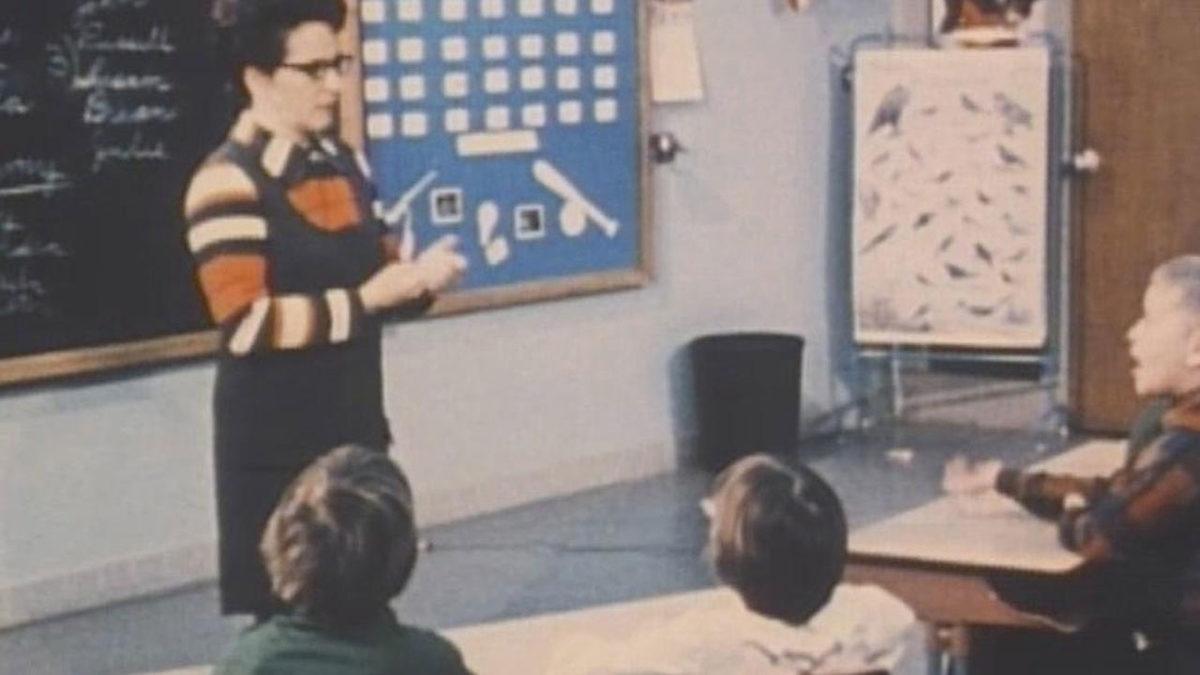 İlkokul Öğrencilerinin Bile Irkçılık Yüzünden Birbirine Düşebileceğini Gösteren ’Bölünmüş Sınıf Deneyi’